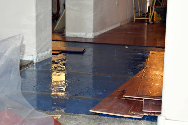 Professional Sewage Cleanup technician working in Pierson, MI